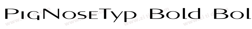 PigNoseTyp Bold Bold字体转换